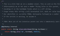 Featured image of post 关于 Forge 使用过的各种主机名标记